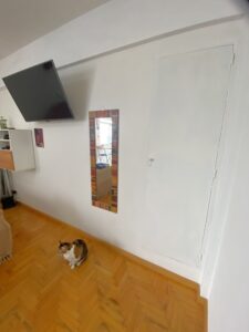 IMG_8229